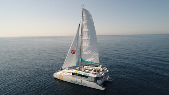 Catamaran cruise with paella from Málaga