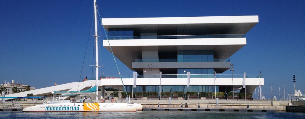 Crucero a vela y natación en Valencia