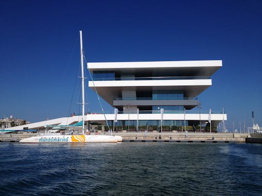 3-hour catamaran cruise from Valencia