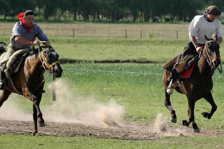 Gaucho private excursion to an Argentinian Estancia from Buenos Aires