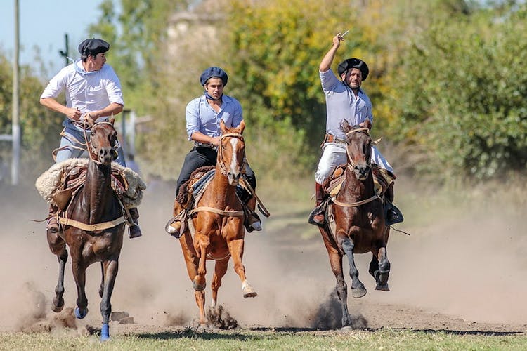 Gaucho private excursion to an Argentinian Estancia from Buenos Aires