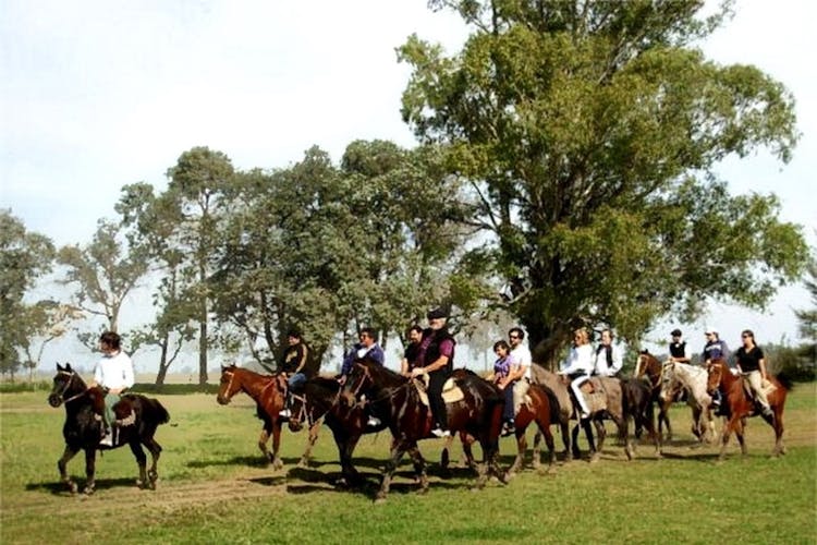 Gaucho private excursion to an Argentinian Estancia from Buenos Aires