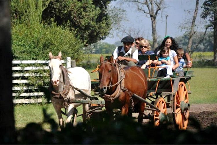 Gaucho private excursion to an Argentinian Estancia from Buenos Aires