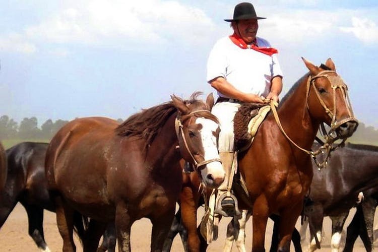 Gaucho private excursion to an Argentinian Estancia from Buenos Aires