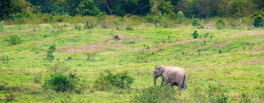 Kui Buri Nationaal Park en Wilde Olifanten vanuit Pranburi