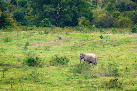 Kui Buri Nationaal Park en Wilde Olifanten vanuit Pranburi