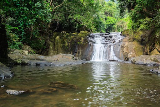 Pala-U Waterfall Tour