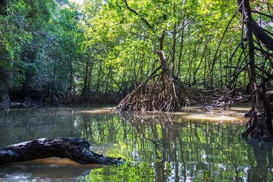 Phang Nga & Ko Khai Island Hopping by Speedboat