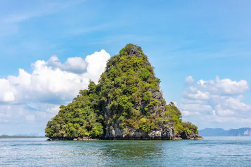 John Gray's Ko Hong Kayaking by Starlight