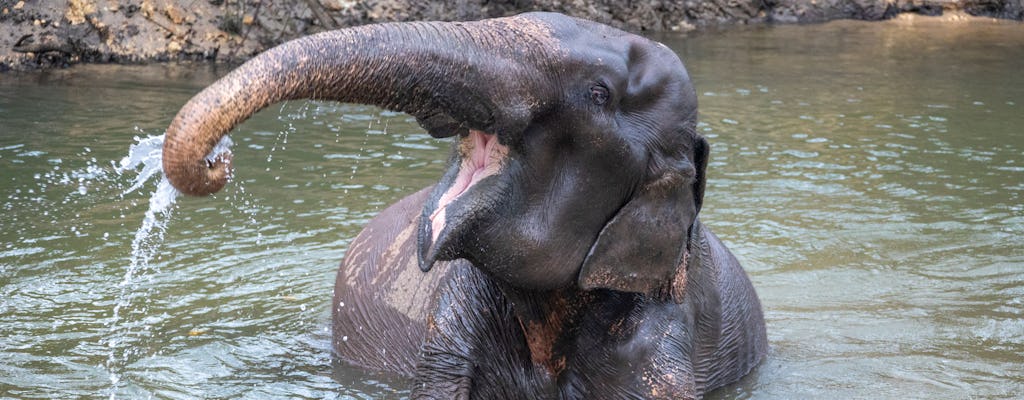 Wędrówka do wodospadów i doświadczenie ze słoniem