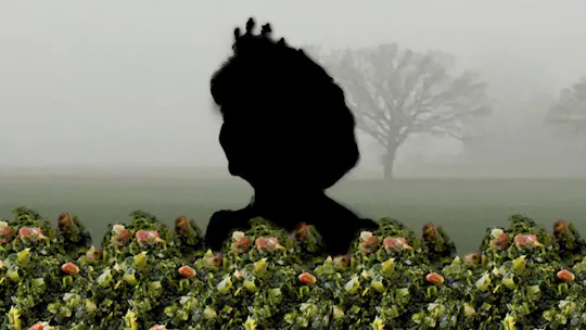 Reunião da cidade em Oldenburg "A rainha da couve desaparecida"