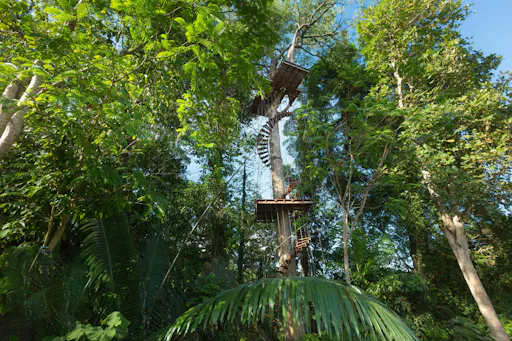 Phuket Hanuman World