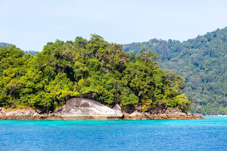 Surin Islands Snorkelling Tour by Speedboat