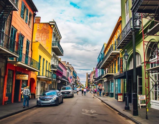 New Orleans citywide driving private tour with local musician