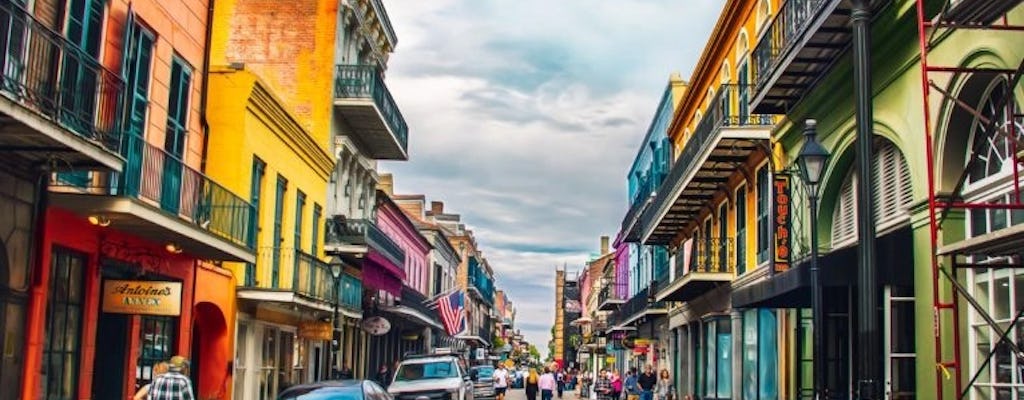 New Orleans citywide driving private tour with local musician