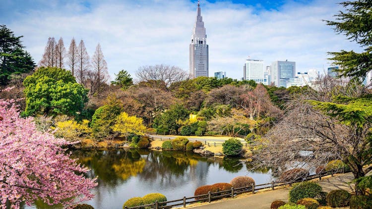 Tokyo audio guide with TravelMate app