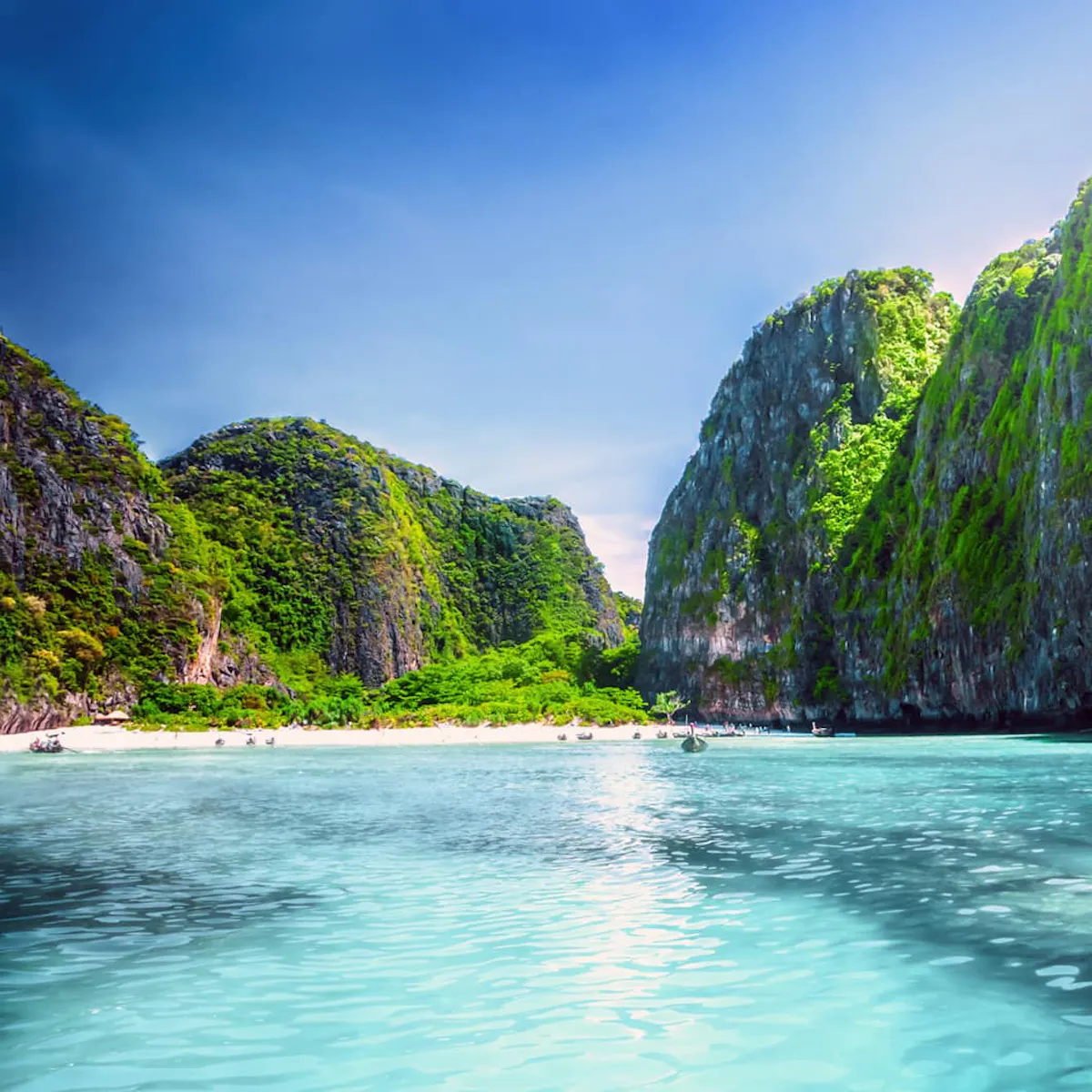 Phi Phi Islands Tour