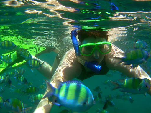 Phi Phi Islands Tour