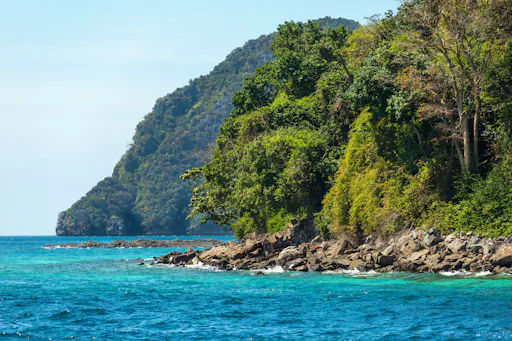 Phi Phi Islands & Pileh Lagoon by Speedboat