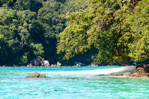 Surin Islands Tour by Speedboat