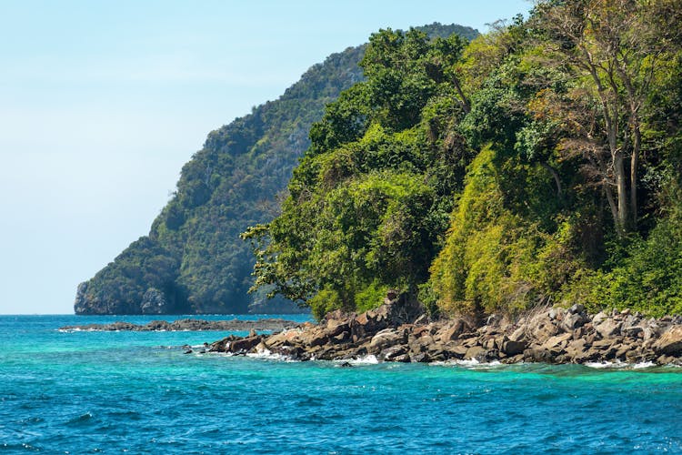 Phi Phi Islands & Pileh Lagoon by Speedboat