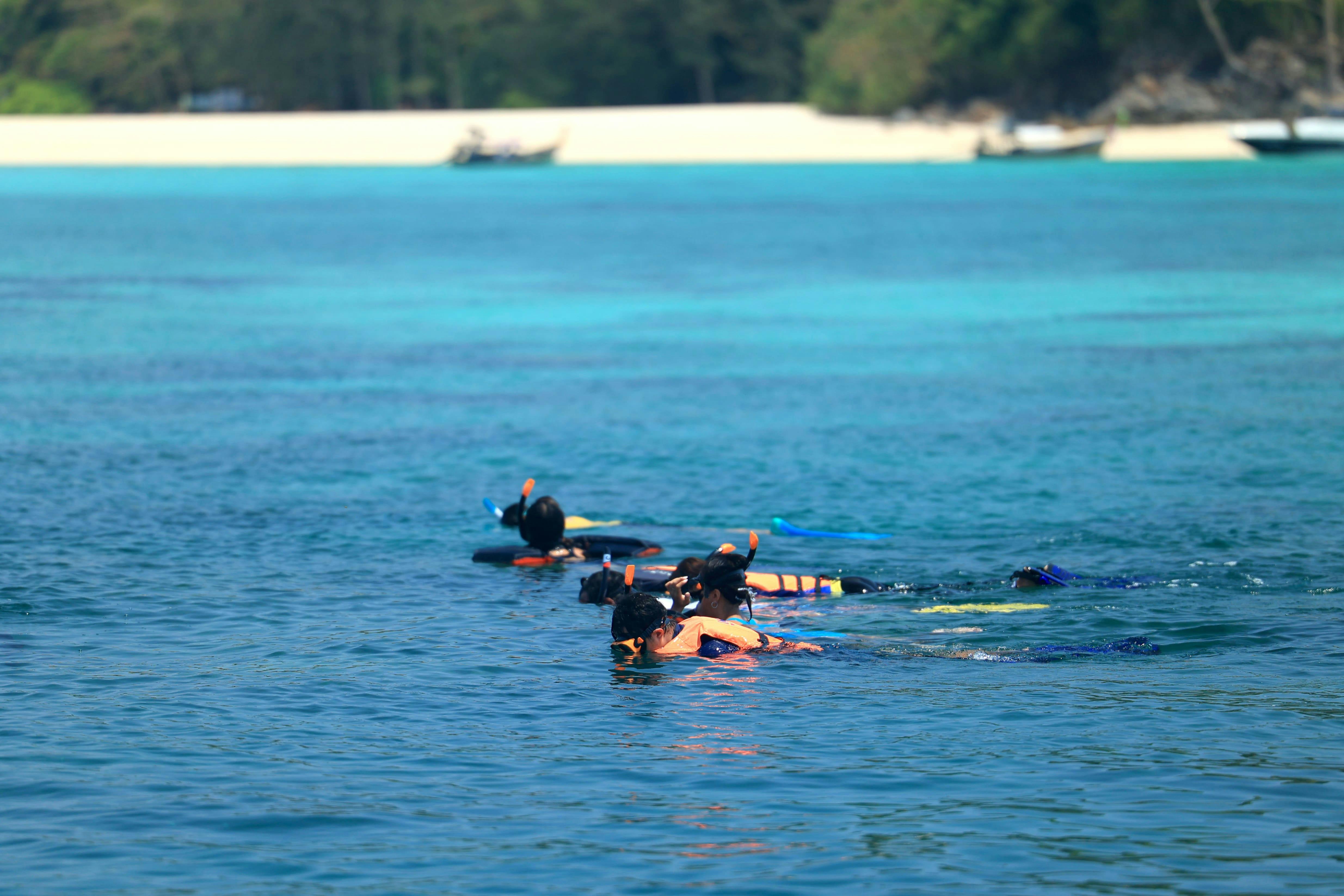 Phi Phi Islands & Pileh Lagoon Speedboat Tour