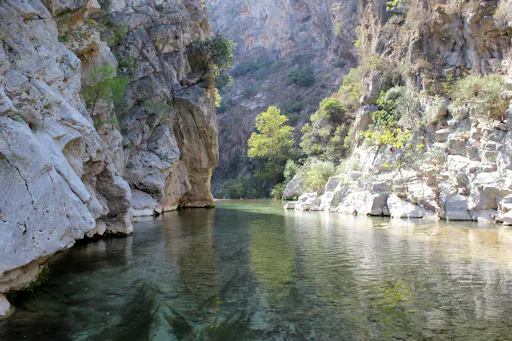 Cross-country Cayenne Tour