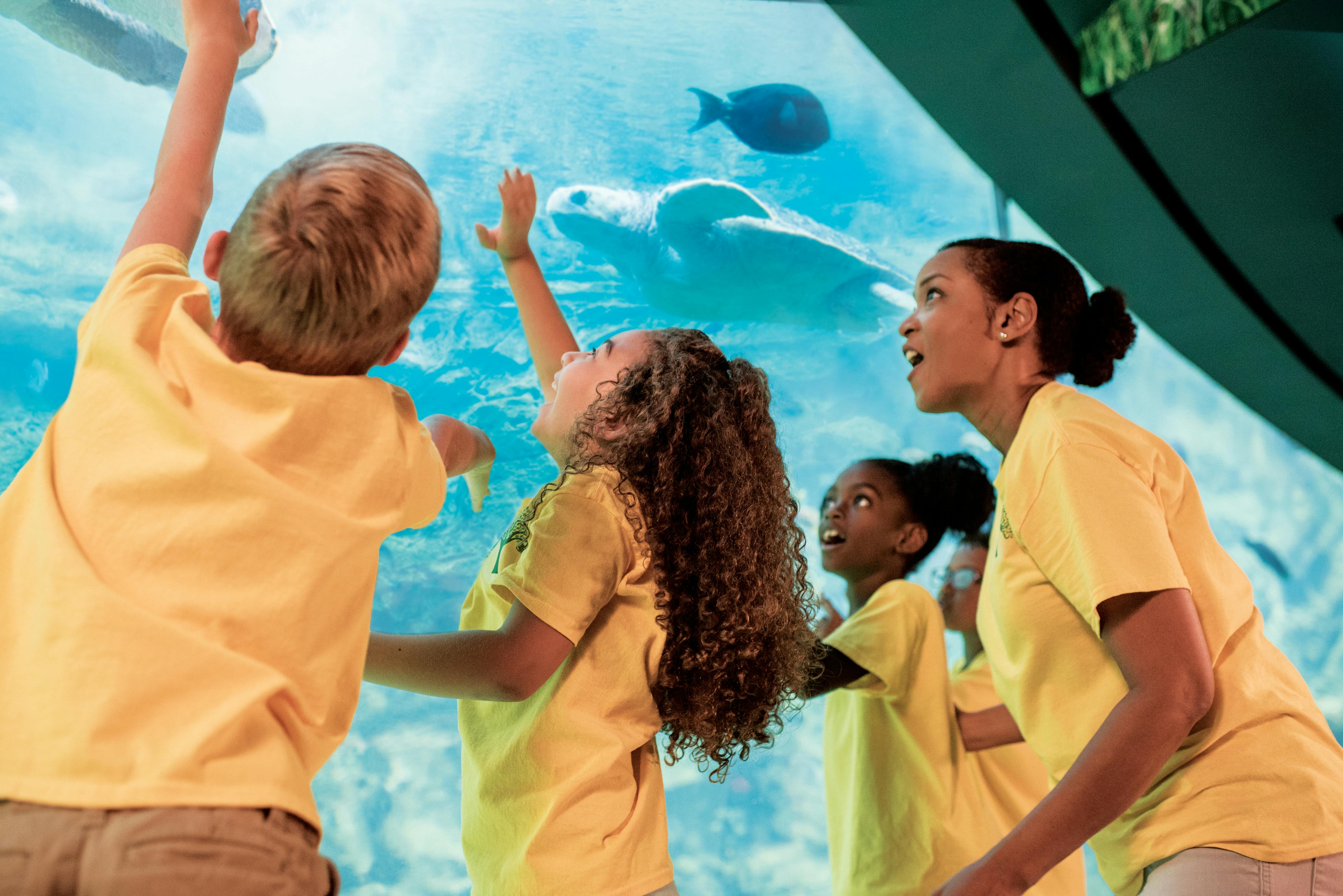 SeaWorld® San Diego "Kids Free" singleday ticket musement