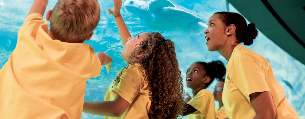 SeaWorld® San Diego "Kids Free" single-day ticket