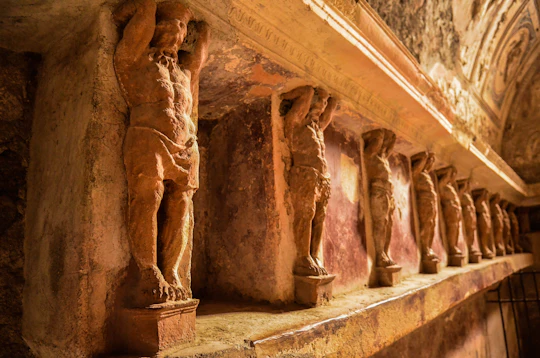 Pompeii guided tour and wine tasting from Sorrento with lunch