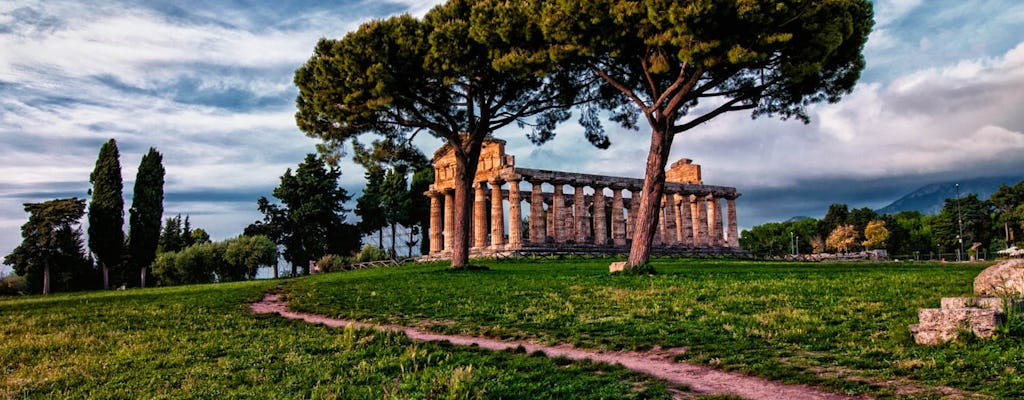 Paestum guided tour and buffalo mozzarella tasting from Sorrento