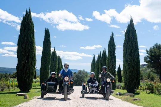 Tour di vino e birra in sidecar retrò da Aix-en-Provemce