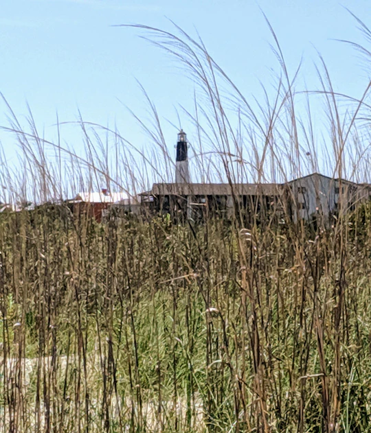 Private tour of Savannah's Historic District & islands