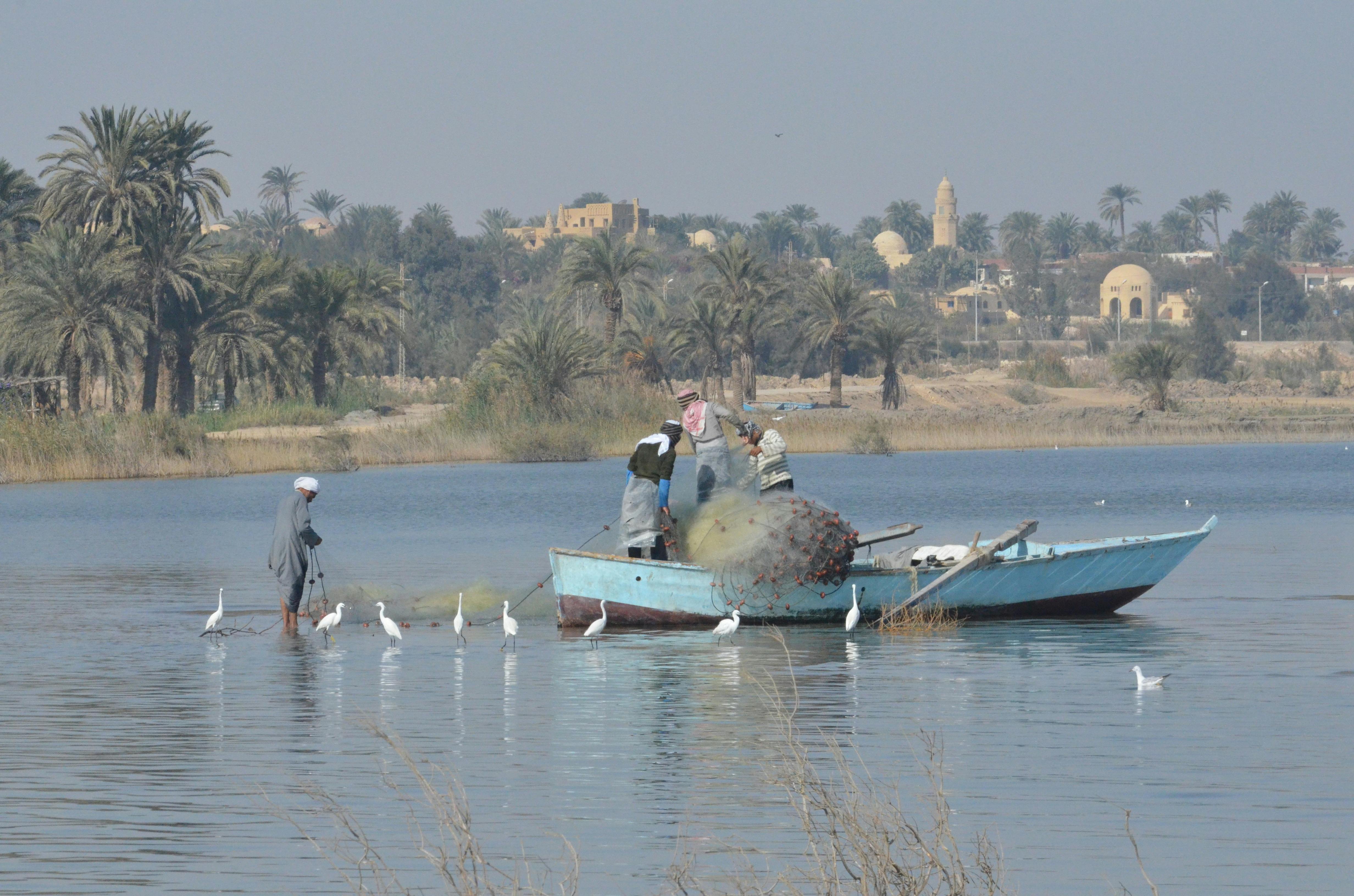 Ontdek de El-Fayoum-oase, Wadi El Rayyan en de Meidum-piramide vanuit Caïro