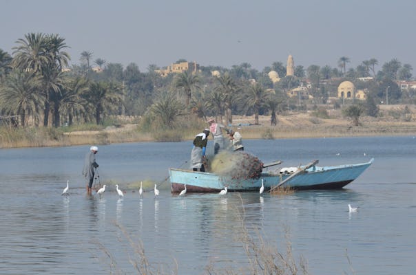 Scopri l'oasi di El-Fayoum, Wadi El Rayyan e la piramide di Meidum dal Cairo