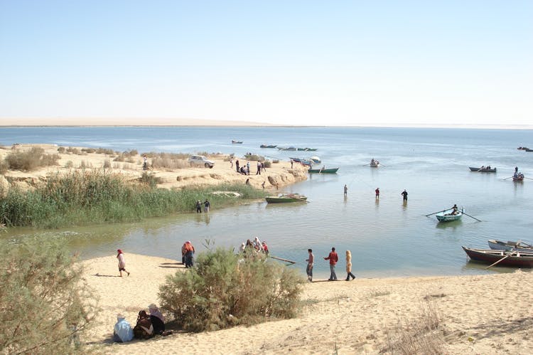Full-day tour to El Fayoum Oasis