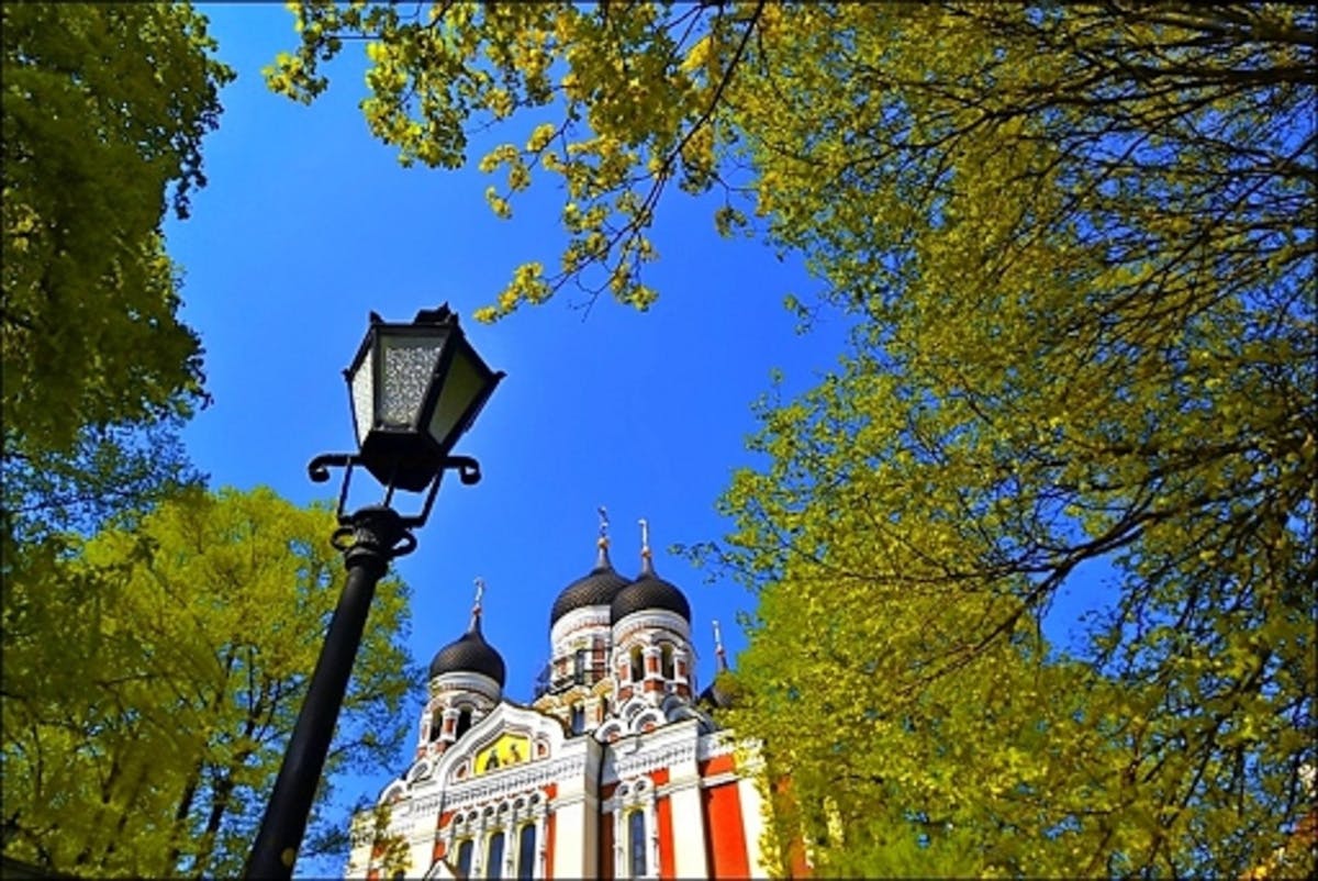 2022010361d31fc15c2ce.jpg