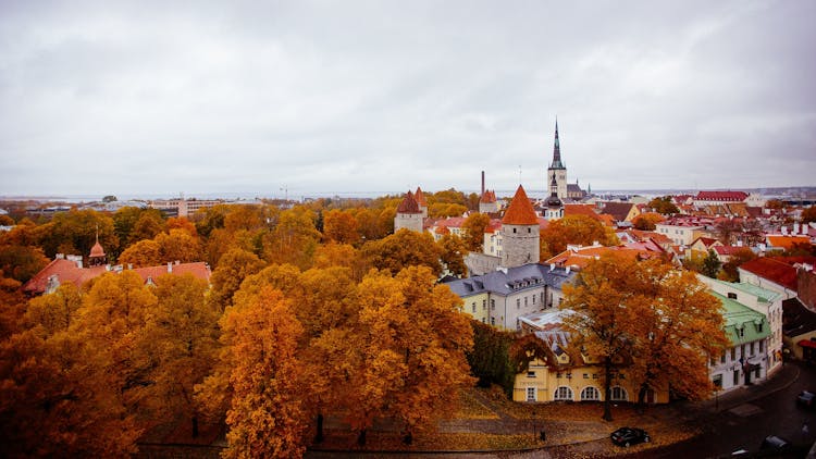 Estonian food, drinks and history tour in Tallinn
