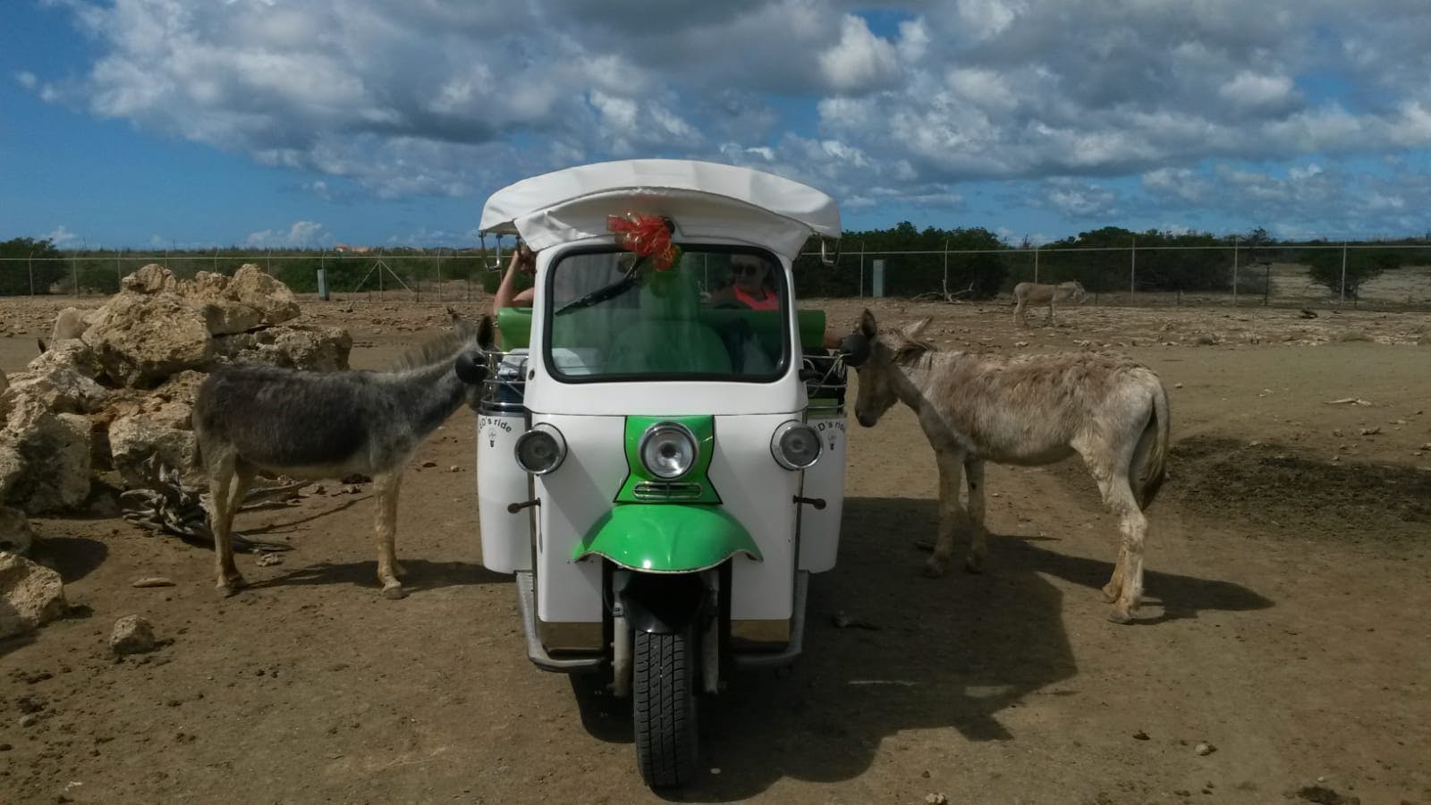 Bezoek ezelopvangcentrum per tuktuk