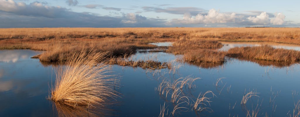 Eintrittskarte für den Nationalpark Hoge Veluwe