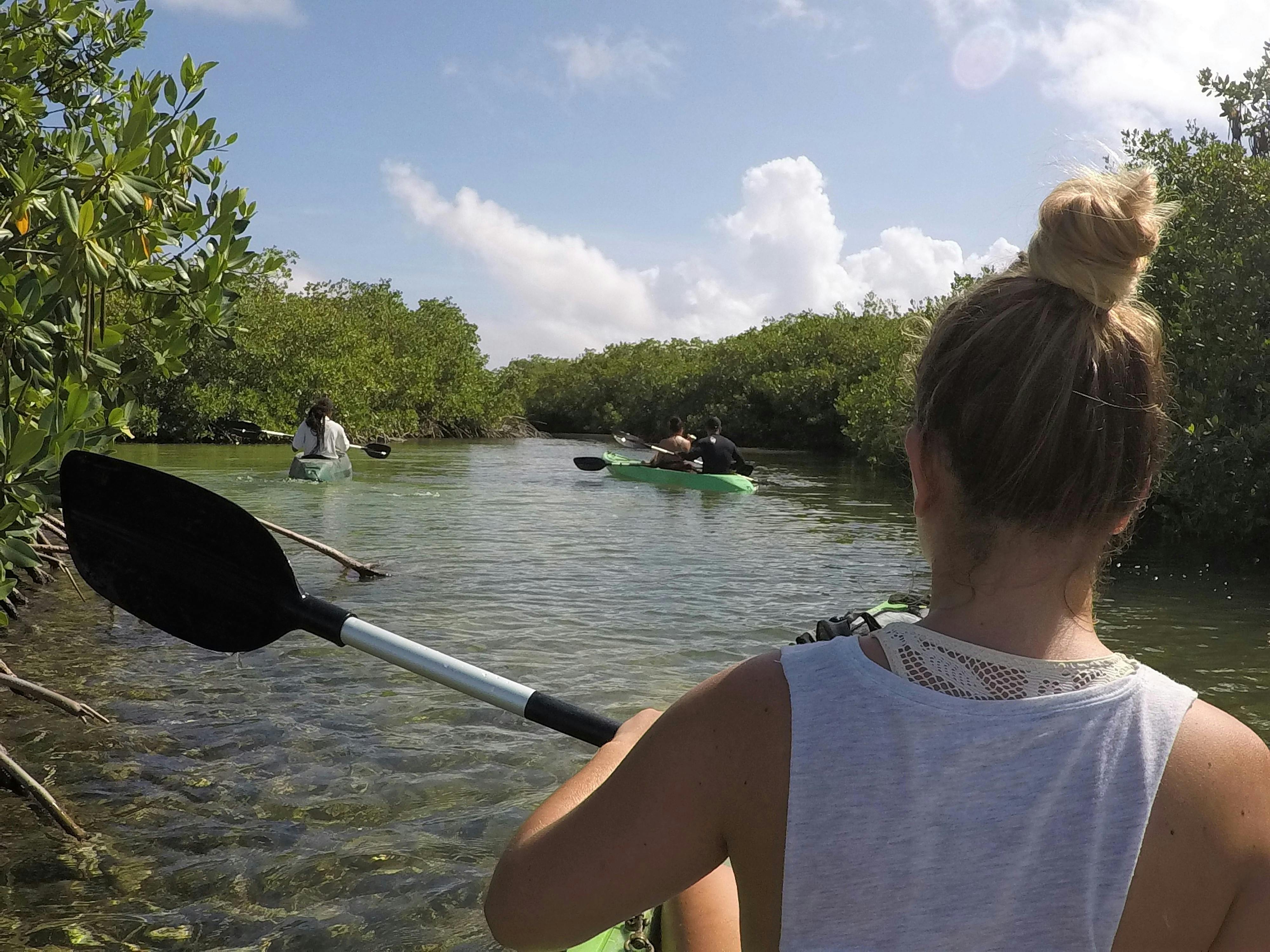 Esperienza di mangrovie con kayak con fondo in vetro e snorkeling Lac Cai