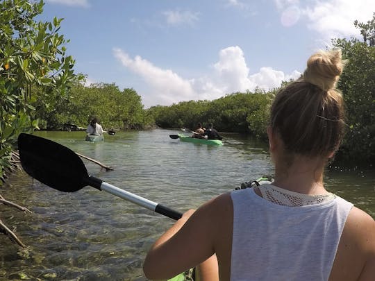 Esperienza di mangrovie con kayak con fondo in vetro e snorkeling Lac Cai