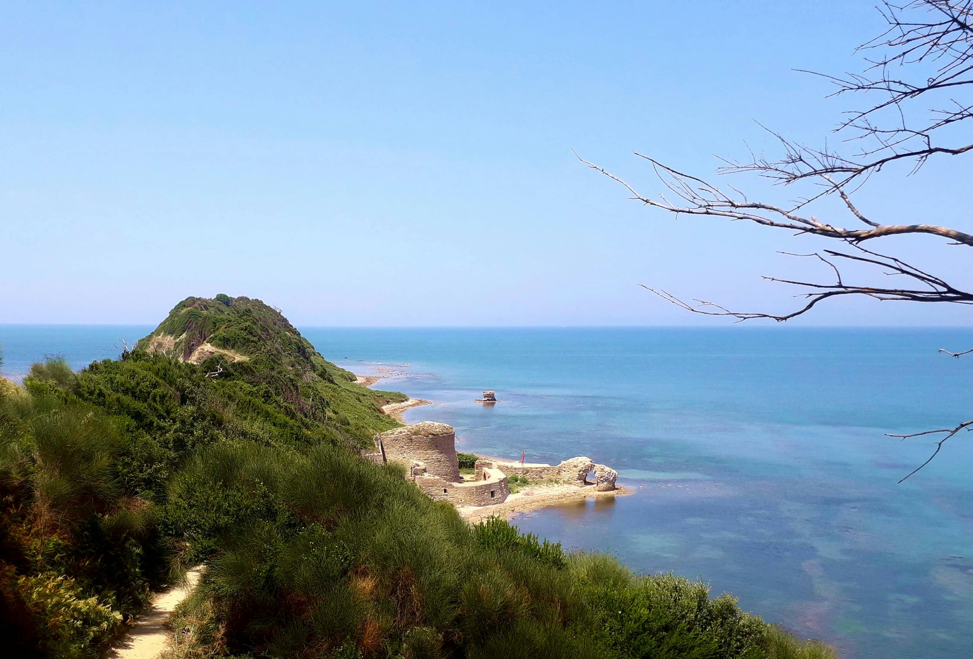 4x4 Safari with Wine Tasting