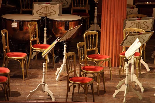 Tour privato a piedi della vita di Beethoven a Vienna