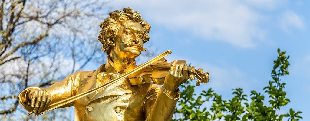 Tour privato a piedi della vita di Johann Strauss a Vienna