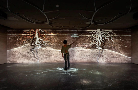 Pressoria, a sensory journey and wine tasting in Champagne