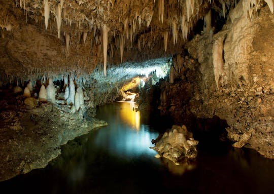 Harrison's Cave Tram Tour