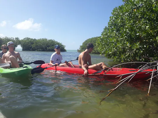 Lac Cai glass-bottom kayak and snorkel tour with transfer