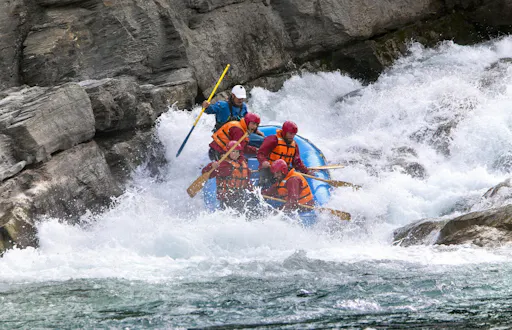 fareharbor-wayfaregroup|257731-486685