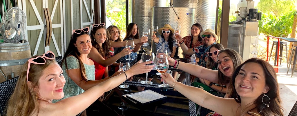 Il meglio del tour di degustazione di vini della Napa e della Sonoma Valley